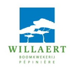 willaert